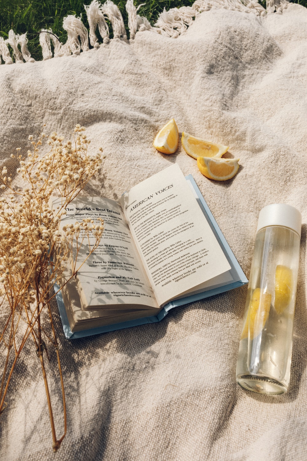 CURL UP WITH A GOOD BOOK: OUR BEST PICKS