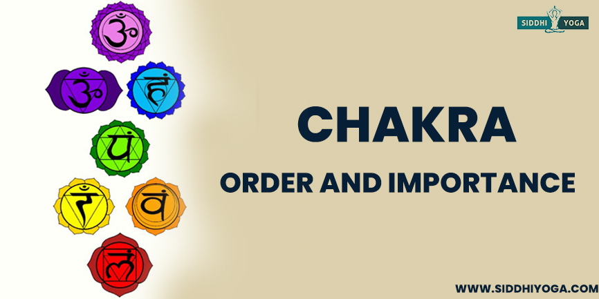 YOGA SERIES: WHY DO CHAKRAS AND ALIGNMENT MATTER?